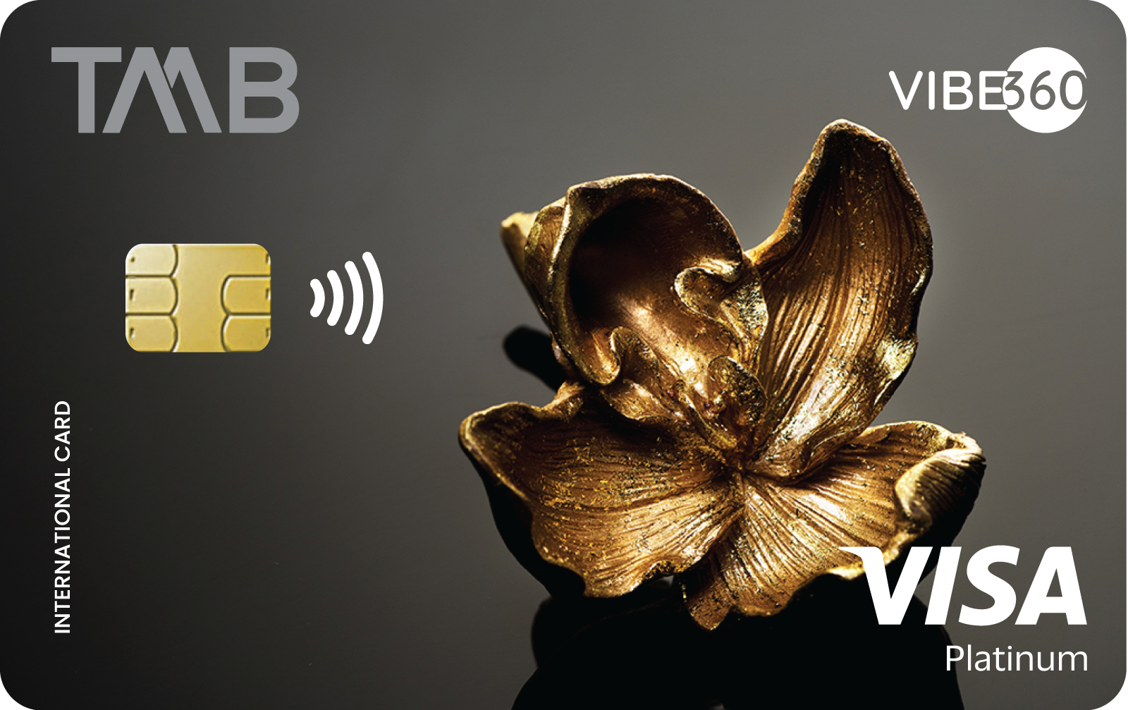TMB VIBE360 Credit Card
